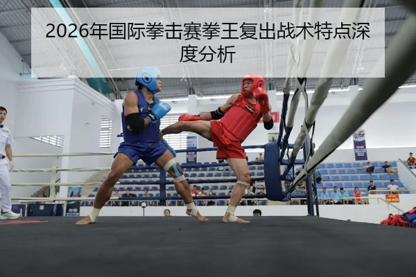 nian-guo-ji-quan-ji-sai-quan-wang-fu-chu-zhan-shu-te-dian-shen-du-fen-xi-2-491.jpg