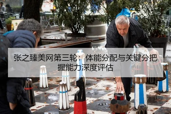 zhang-zhi-zhen-mei-wang-di-san-lun-ti-neng-fen-pei-yu-guan-jian-fen-ba-wo-neng-li-shen-du-ping-gu-2-103.jpg